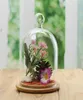 Heminredning vaser Glasblomma Display Cloche Bell Jar Dome Immortal Preservation Wood Base Everlasting Cover 210913218G1224625