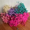 5 ~ 12 CM 30 PC Real Seco Babys BreathGypsophila Flores BranchMini Flor de Respiração de Bebê Preservada para Convites Decoração de Cartão 240315