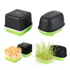 Pots Seed Sprout Tray Garden Hydroponic Peanut Sprouting Box Pea Bean Seedling Sprouter Cat Grass Germination Soilless Planting Pot