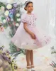 Платья для девочек, пышное бальное платье с цветочной аппликацией, детские платья на день рождения с шалью длиной до колена, конкурс для маленьких девочек