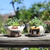 Potten Creatieve plantenbak voor vetplanten Tuindecoratie Hars Bloempot Decoratief Ornament Fee Tuin Kat Vos Tafelblad Decor