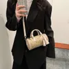 Europese Designer Schoudertas Nieuwe Kussentas Eén Schouder Boston Handheld Veelzijdige Crossbody Wtern Stijl Geavanceerde Mode Internet Celebrity Bag