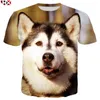 Magliette da uomo HX Stampa 3D Pet Dog Husky Camicia Uomo Harajuku Animale Unisex Hip Hop Streetwear Top Z167