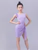 Stage Wear Purple Latin Dance Dress For Girls Rumba Samba Dancing Performance ChaCha Salsa Outfit Bodysuit Skirt Practice Suit YS5344