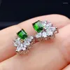 Stud Earrings KJJEAXCMY 925 Sterling Silver Natural Diopside Ladies Fashion Gemstone Ear Support Test