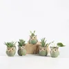 5 pçs/set cerâmica coruja forma jardim vaso de flores mesa planta pote design criativo suculento plantador pote casa decoração do jardim ao ar livre 240311