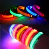 Collier LED en Nylon pour chien, sécurité nocturne, clignotant, lueur dans la nuit, laisse pour chien, colliers fluorescents lumineux, fournitures pour animaux de compagnie