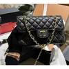 Chain 23cf Designer Classic Crossbody Bag Luxury Handbag Flap Fashion Womens Purse Genuine Leather Messenger 23*14*6cm