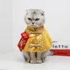 Kattdräkter krage bedårande husdjursdräkt mångsidig kinesisk stil festlig röd kuvert högkvalitativ vårfestival unik
