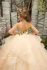 Girl Dresses Pink Flower Dress Luscious Bridal Tulle Skirt With Layers Upon Of Horsehair Braid Trimmed Fluffy Gown