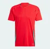 Wales 2024 2025 Voetbaljersey Wilson Ramsey Bale Euro Cup Nieuw 2025 Nationaal team 24 25 Soccer shirt Men Kids Kit Volledige set Home Heren Uniform Brooks Johnson 16-4XL