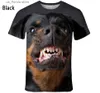 Men's T-Shirts New Fashion Animal Face 3d Printed T-shirt Mens and Womens Summer Casual Short Slve Monkey Dog Cat Lion Animal Print Shirt Y240321