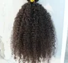 Brasilianisches lockiges Haar, Clip-in-Haarverlängerung, unbehandelt, natürlich, schwarzbraun, 9 Stück, 1 Satz, Afro-Kinky-Curl5031549