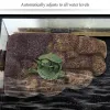 Substrat akvaryum dekorasyonları yüzen ada sürüngenleri kaplumbağa tank yüzen ada akvaryum subul manyetik basking platformu