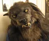 파티 마스크 늑대 인간 늑대 인간 헤드웨어 의상 마스크 시뮬레이션 성인을위한 늑대 어린이 할로윈 고지 전체 얼굴 커버 303S5323603