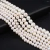 Loose Gemstones White Natural Freshwater Pearls Beads Size 5-6mm 6-7mm Nearly Round Spacer For Jewelry Making DIY Necklace Bracelet