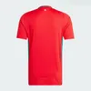 Galler 2024 Futbol Forması Wilson Ramsey Balya Euro Kupası Yeni 2025 Milli Takım 24 25 Futbol Gömlek Erkek Çocuk Kiti Tam Set Ev Kırmızı Uzak Sarı Erkekler Üniforma Brooks Johnson