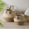 Baskets Handmade Woven Seaweed Storage Baskets Folding Seagrass Belly Garden Flower Pot Plant Basket Straw Storage Boxes For Home Decor