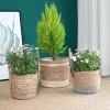 Cestas de armazenamento multifuncional cesta de palha vaso de flores grande capacidade vaso de planta verde tecido diy decoração de jardim interior