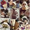 Hondenkleding Kerstmis Kat en kostuums Herfst/Winter Dierenkleding Vakantiefeest Cosplay Eland Transformeert in puppy