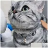 犬の襟のリーシュデザイナー猫とベルクラシックレターパターンラグジュアリーキティ調整可能な安全な子猫のペンダントガールキャッツボーイdhjzrに最適