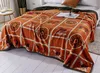 Thick Warm Foreign Trade Cross-Border Fleece Blanket Nap Blanket Coral Fleece Double-Sided Velvet Air Conditioning Blanket Cloud Mink Velvet Blanket