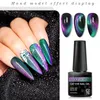 Cat Eyes Magnetische Nagelgel Polish Set Met Magnetische Stok Spar Cat Starry Shining Chameleon Laser Cat Eye Hybride Vernissen 240306