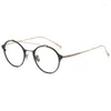 Lunettes de soleil Cadres Marque Japonaise KJ-30 Ronde Double Pont Lunettes Hommes Pur Titane Lunettes Femmes Argent Lunettes De Luxe