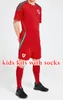 2024 25 Wales Soccer Jerseys Bale Wilson Allen Ramsey World National Team Cup Rodon Vokes Home Football Shirt Kort ärm Vuxna uniformer Fans Player 8780