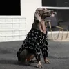 犬のアパレル秋と冬のペットセーター中程度の大型衣類weimar dobermanマリノア服犬accesorios ropa para perro