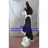 Costumi mascotte Nero Bianco Pelliccia lunga Lupo peloso Volpe Husky Cane Fursuit ALASKAN Costume mascotte Cartone animato adulto Prestazioni sociali Grande festa Zx494