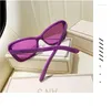 Sunglasses Womens Cats Eye Vintage Glasses Pink Designer Shadow Mens and