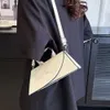 Sac à main haut de gamme pour femme, nouveau design de niche à la mode, petit sac carré portable, célèbre sur Internet, sac à bandoulière élégant à une épaule