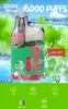 Heißer Verkauf Rum Bar Puff 15k Vaper Einweg-Puff Granatapfelspule 15 Geschmacksrichtungen 2% 5% 0%