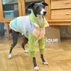 ملابس الكلاب الخريف والحيوانات الأليفة الشتوية لأسفل سترة ملابس صغيرة Whobit Greyhound Ropa Perro Dogs Excessories Designer