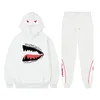 in Tracksuit 2 Piece SweatshirtsSweatpants Printed Pullover Hip Hop Y2k Streetwear Hoodie Set for Women and Men Outfit 240312