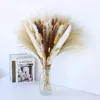 Decoratieve bloemen pluizige pampa's gedroogd boeket Boho Home tafel decor natuurlijke Phragmites kunstmatige bloemen bruiloft decoratie feestartikelen