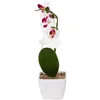 Decoratieve bloemen Kunstbloem Phalaenopsis Bonsai Realistisch Nep Gesimuleerde Versiering Faux Orchidee Ingepot