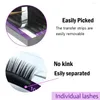 False Eyelashes 16 Rows 6 Boxes C D Curl Curved Soft Comfortable Eyelash Extensions Individual Artificial