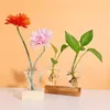 Vases Crystal Glass Planter With Wooden Stand Hydroponics Plants Bulb Desktop Terrarium Flower Vase Home Office Decor