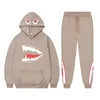 in Tracksuit 2 Piece SweatshirtsSweatpants Printed Pullover Hip Hop Y2k Streetwear Hoodie Set for Women and Men Outfit 240312