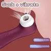 Tillfredsställande pro2 generation 3 app vibratorde klitoris sexleksaker för kvinnor klitoris stimulator vibratorer sucker vuxen sexbutik 240311