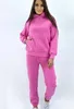 Femmes deux pièces pantalons survêtement à capuche pantalons costumes décontracté Sport costume hiver ensemble 2 pièces pour femmes vêtements ensembles sweats