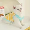 Costumes de chat vêtements été prévention des cheveux Ragdoll printemps et automne chaton fronde gilet mince pour animaux de compagnie