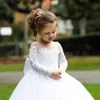 Flower Girls Wedding Dress Lace Tulle Long Train Princess Holly Communion Baptism Gown Kids Pageant Party Clothes Girl Ball 240309