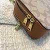 Europa e Stati Uniti Borsa a tracolla esplosiva di lusso leggera Borsa per organo alla moda Borsa a tracolla monospalla da donna versatile in stile nuovo autunno/inverno