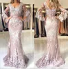 2024 Lavanda Sexy Cuello en V Sirena Vestidos de noche largos con mangas largas de poeta Tul Apliques de encaje 3D Tren de barrido Fiesta formal Vestidos de fiesta