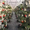 Stackbar blomkruka Diy Garden Accessories Strawberry Vegetabiliska Planter Växtpanna Planterare Plasttorn med TRAY GARDEN POT 240304