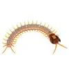 Remote Control Animal Centipede Creepy-crawly Prank Funny Toys Gift For Kids 240307