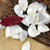 Dangle Chandelier 5pcs Natural Shell Water Drop Pendant Mop DIY DIY 진주 참을